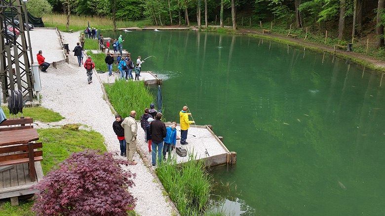 Angelteich Salzburg Kasern – Fischen, Grillen, Chillen Angelteich Salzburg Kasern – Fischen, Grillen, Chillen